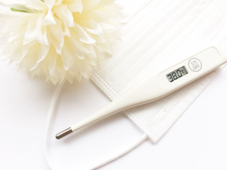 新宿の都市生活を支える多層的医療ネットワークと進化する内科の役割